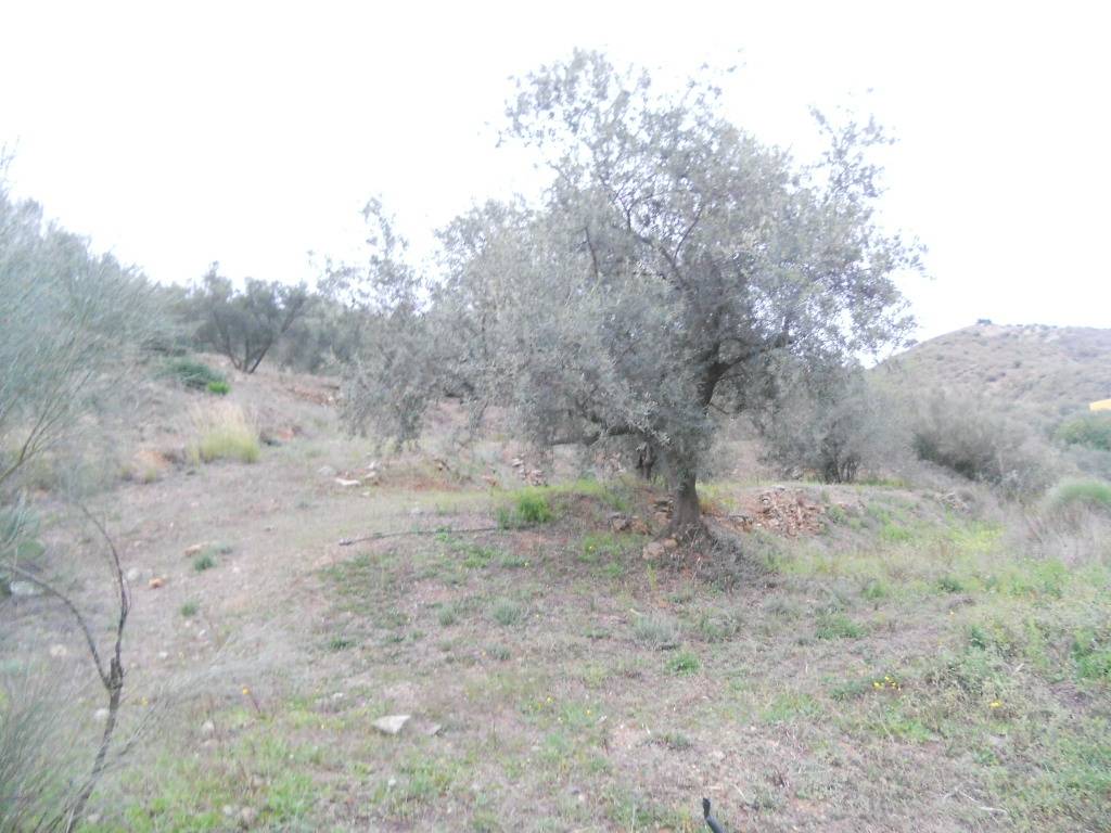 Country Property for sale in Canillas de Aceituno