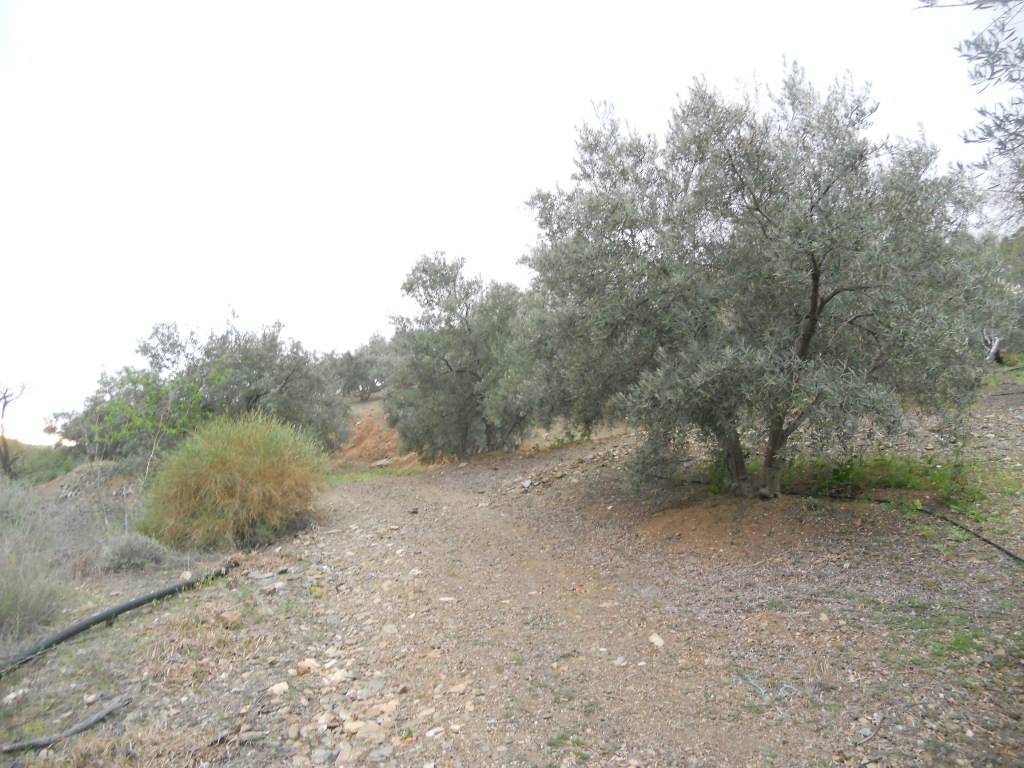 Country Property for sale in Canillas de Aceituno