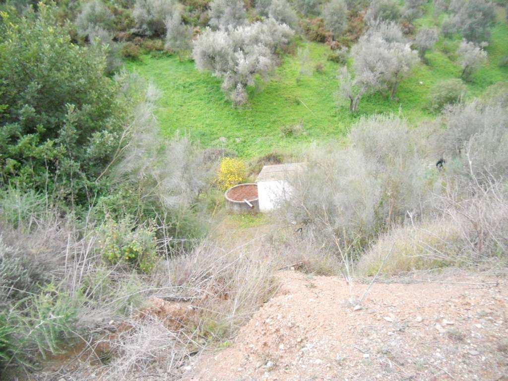 Country Property for sale in Canillas de Aceituno