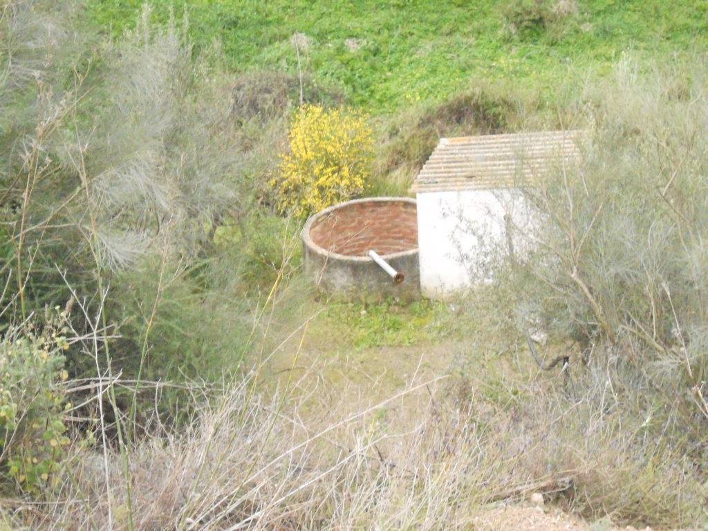 Country Property for sale in Canillas de Aceituno