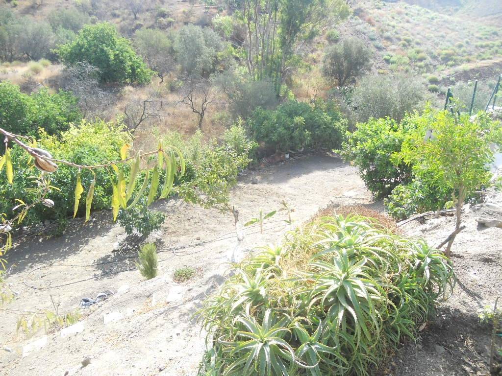 2 CASAS DE CAMPO PAREADAS EN DEHESA DE TRIANA ( VELEZ-MALAGA)