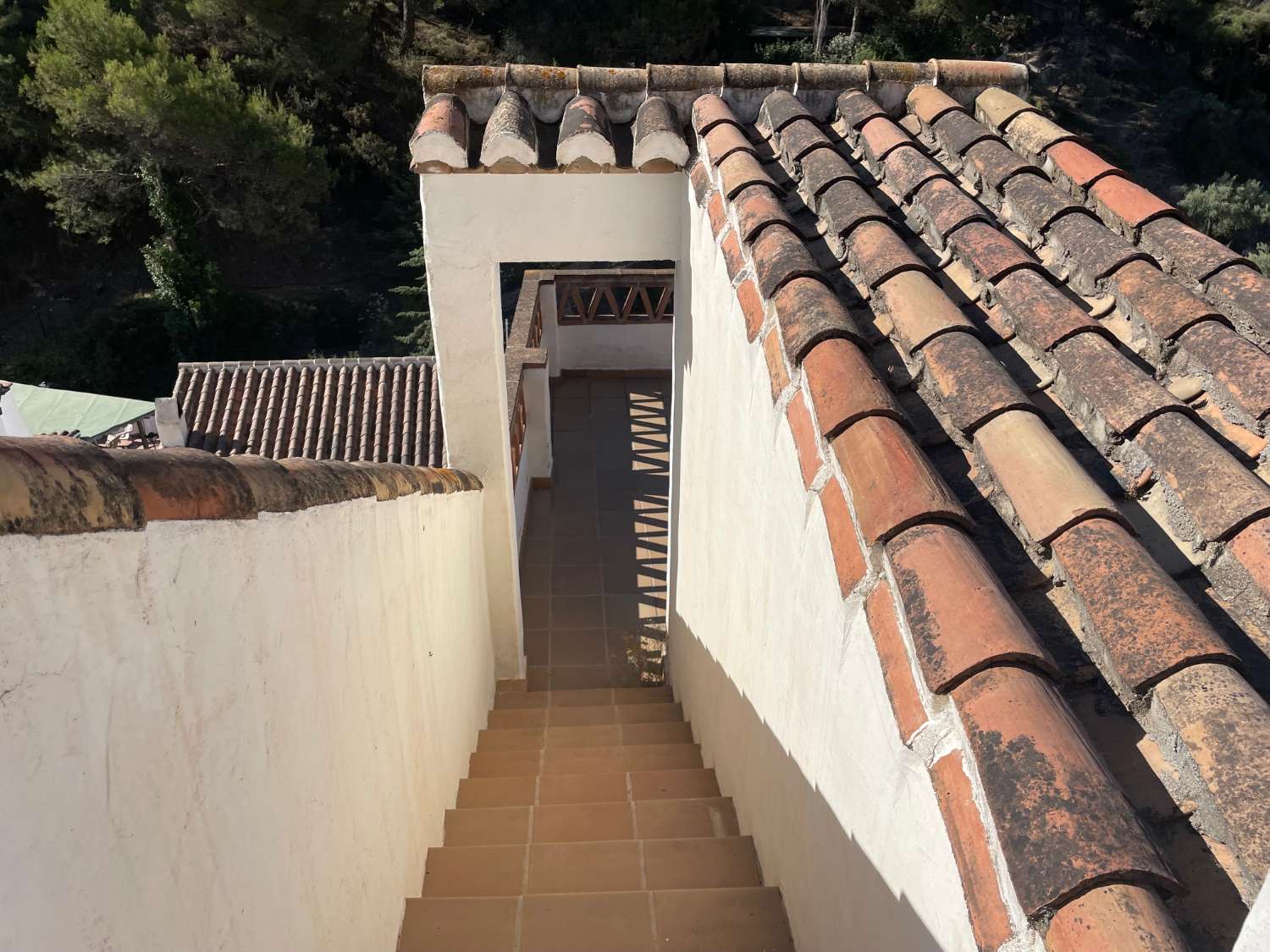 Maison en vente à Frigiliana