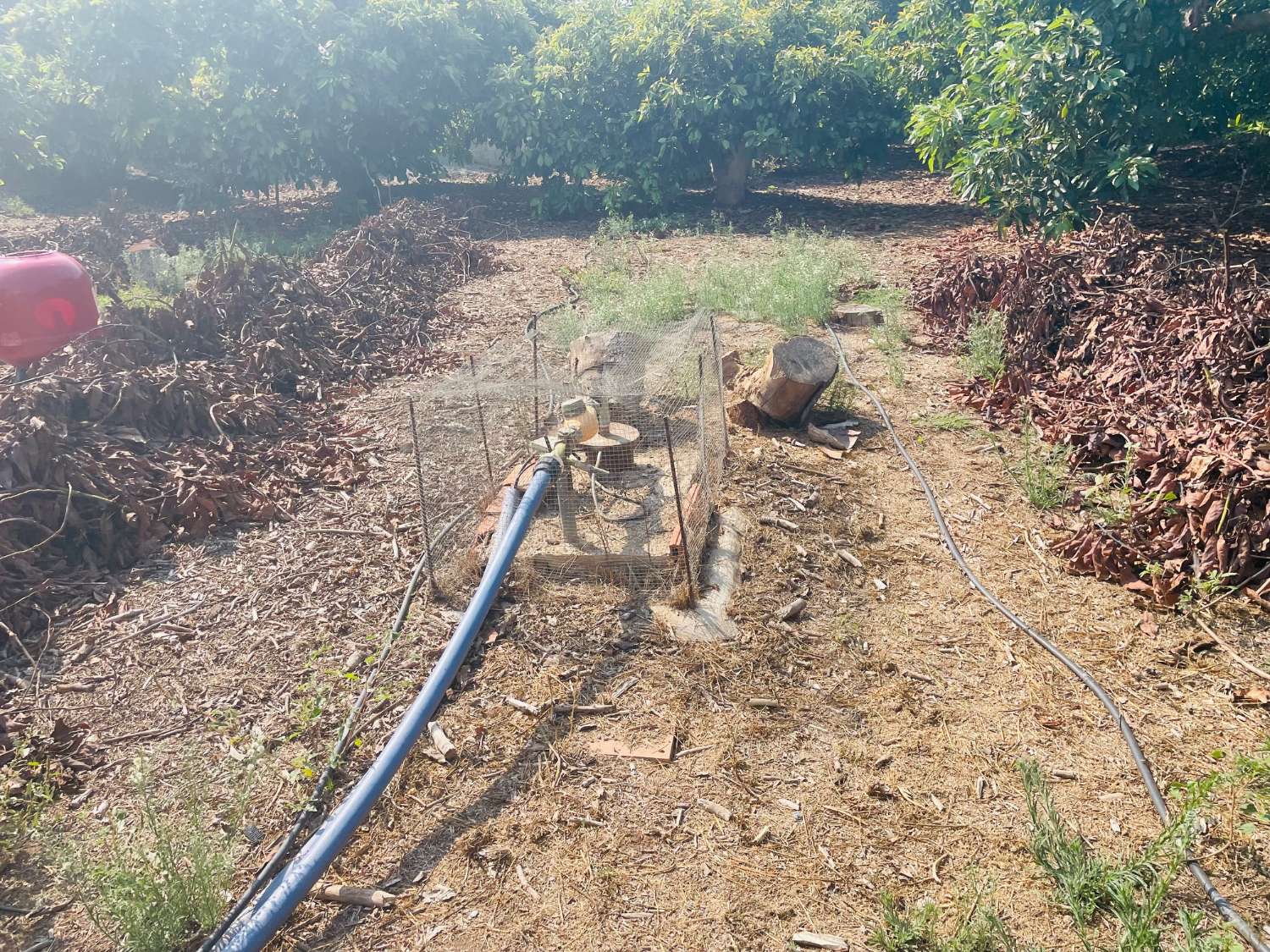 CASA DE CAMPO INDEPENDIENTE EN VALLENIZA CON AGUCATES EN PRODUCCION